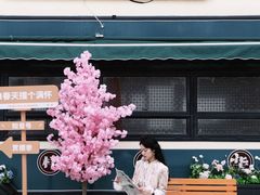 -武汉知音号