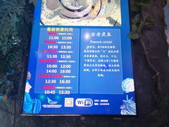 -合肥海洋世界