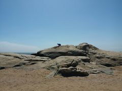 -老虎石海上公园