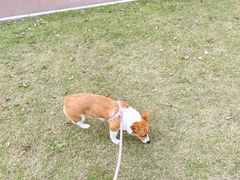 -大场体育中心羽毛球馆
