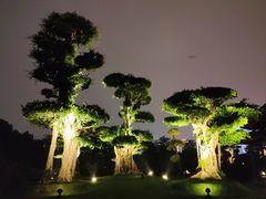 -南宁南湖公园