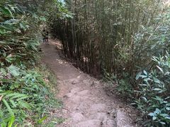 -井空里大峡谷