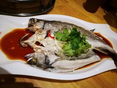 野生海鲈鱼-小六汤包(万和城店)