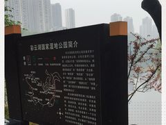 -重庆彩云湖湿地公园