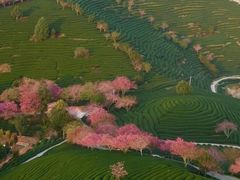 -龙岩森林水乡景区