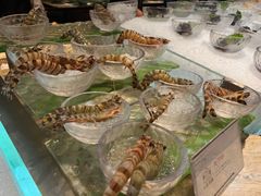 -半岛翡丽海鲜自助餐厅(观风亭店)