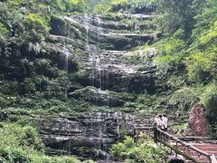 -中国大熊猫保护研究中心雅安碧峰峡基地