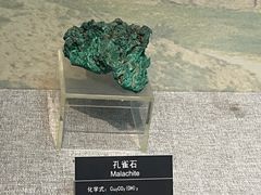 -甘肃地质博物馆