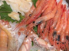 -極上萬膳·日料放题(海岸城店)