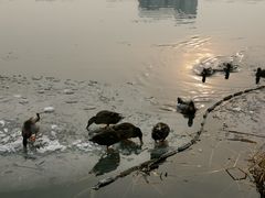 -后海公园
