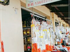 -大湾区中央湿地公园-十九涌