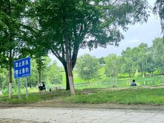 -西安浐灞国家湿地公园