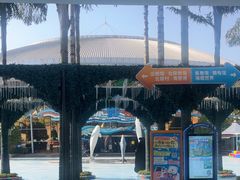 -海合安成都极地海洋公园