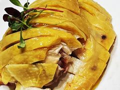 白斩鸡-品悦酒店(三林古镇店)