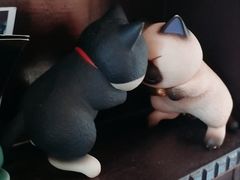 -不舍昼夜咖啡馆
