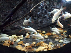 android_upload_pic-南昌海洋公园