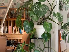 -一尺花园(安和花园店)