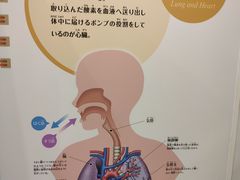 -大阪儿童乐园