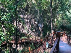 -大岭沟猕猴桃谷风景区
