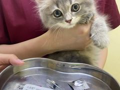 -芭比堂动物医院广州顽皮分院
