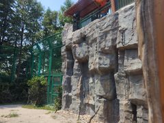 -上海野生动物园老虎餐厅