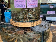 -荔城生鲜盛宴(番禺旗舰店)