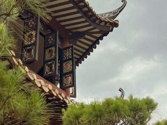 -碧江金楼