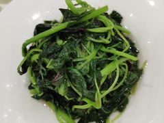 清炒米苋-金时代顺风大酒店(爱琴海购物中心店)