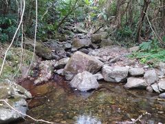 -梧桐山风景名胜区