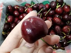 -菜园坝水果市场