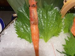 -極上萬膳·日料放题(海岸城店)