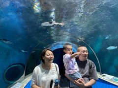 -苏州海洋馆
