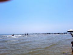 -日照海滨国家森林公园