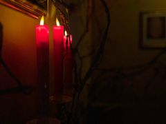 -樊笼真人密室逃脱(江南西店)