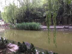 -西安市长乐公园