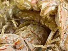 -望海潮海鲜店 特色家常菜(在海一方店)