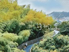 -梅峰山地公园