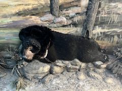 -北京动物园-畅观楼