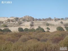 -塞罕坝国家级自然保护区