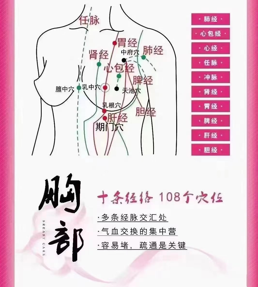 催乳的经络分布图图片