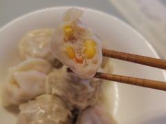 -熊大爷现包饺子(和平里店)