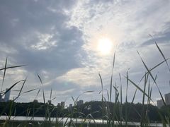 -白塘生态植物园