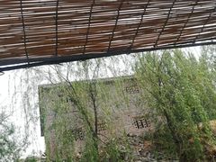-白洋淀景区
