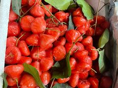 -老炳·七丛松甘草水果