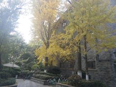 -成都世纪城假日酒店-西楼