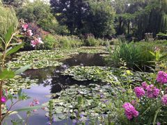 莫奈花园中睡莲实景-雅米拉艺术中心(少儿舞蹈培训)