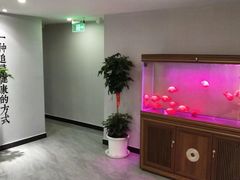 -金蚁康•经络调理•肩颈按摩(万达金街店)