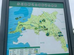 -西京湾花海