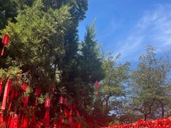-烟台山景区