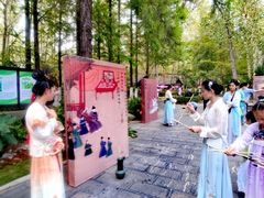 -合肥滨湖国家森林公园